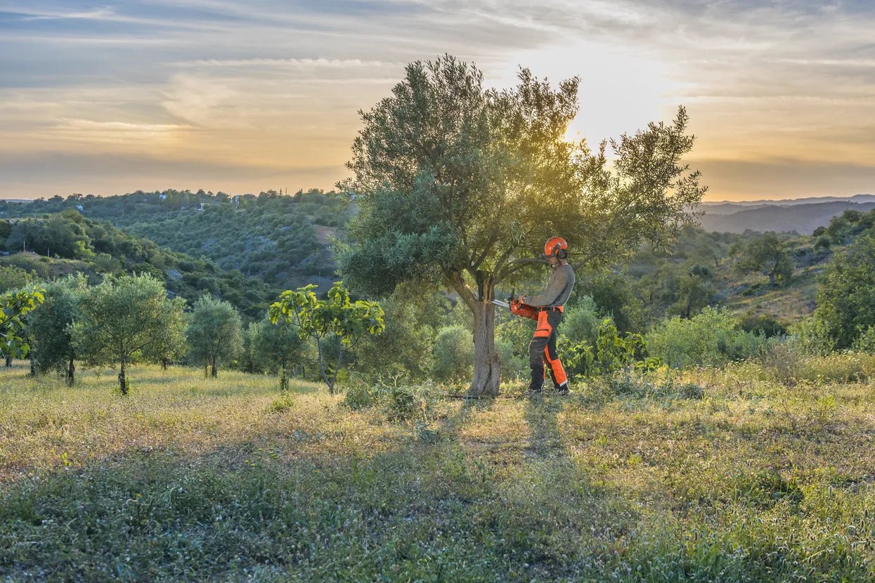 Husqvarna #Product_name#