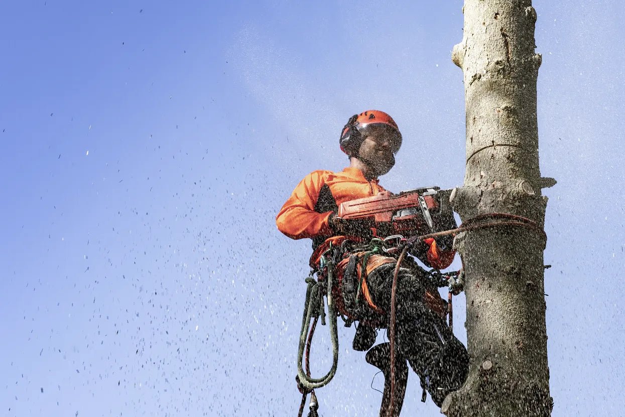 Husqvarna #Product_name#