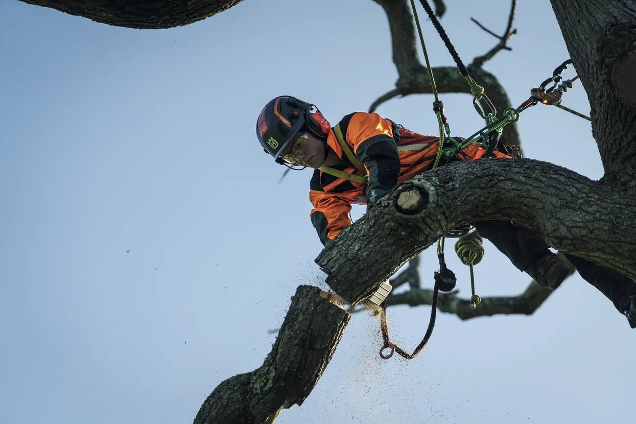 Husqvarna #Product_name#