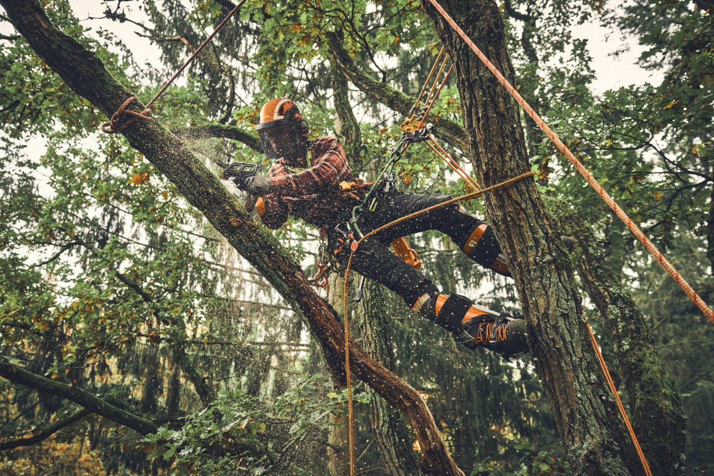 STIHL STIHL MSA 190 T SET | Arco Lawn Equipment