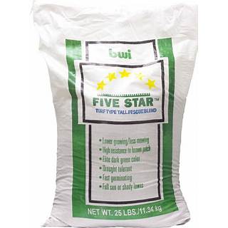 Misc Five Star Fescue Grass Seed | Arco Lawn Equipment